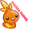 Pokemon Zoado 9