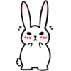 Bunny 5