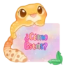 🦎💕Gecko Aurora💕🦎 6