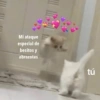 Mi ataque
especial de
besitos y
abrazotes
tú
