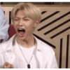 Stray kids 12