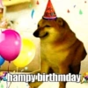 hampy birthmday