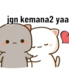 Pentol bucin 11