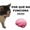POR QUÉ NO
FUNCIONA
!?!?!?