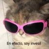 En efecto, soy invesil