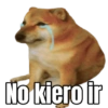 No kiero ir