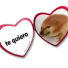 te quiero
KANE...S