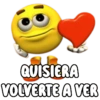 QUISIERA VOLVERTE A VER