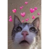 Cats hearts 19