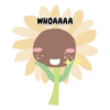 Sunfloppy 5