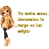 Memes pa' ligar 1 13