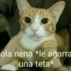 Memes pa' ligar 1 24