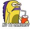 BU NO TE CANSAS?