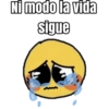 Ni modo la vida
sigue
