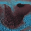 Pink Floyd 27