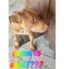 emita