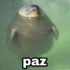 Memes pa' hablar XD 2 17