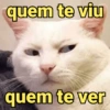 quem te viu
quem te ver