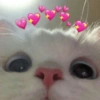 💕USA COM SEU CRUSH💕 14