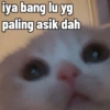 Masih gatau 7