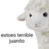 estoes terrible
juanito