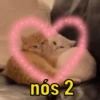 TÁ APAIXONADO? TOMA 💖 13