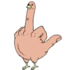 Fcuk 12