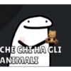 CHE CHI HA GLI
ANIMALI