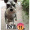 Tu nombre Bebé😎😳👍🏻  15
