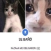 Randomcitos Para Tu Chat 🧬 15