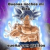 MEMES PACK 8 10