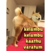 kelambu kelambu kaathu varatum