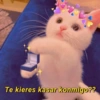 Te kieres kasar konmigo??