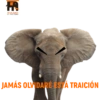 Habitantes del zoo 5