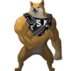 Segmento Armado Perro Bélico 19