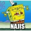 NAJIS