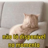 não tô disponível
no momento