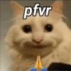 Gatos Cura depresión 😽💕 8