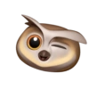 Emoji iphone random 17