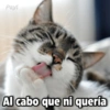 Payi
Al cabo que ni quería