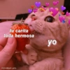 Gatitos Anti-depresivos Vol.1 20