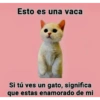 Gatitos Anti-depresivos Vol.1 11