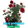 FELIZ DOMINGO BOM DIA