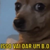Frases mais usadas 🗯 7