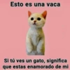 Pa’ Enamorar 😏🤭 24
