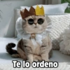 Payi
Te lo ordeno
