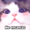 Payi
Me encantas