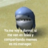Ya me voy a dormir, si
me ven en línea y
compartiendo memes
es mi manager.