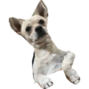 Pack miguelito#2021 14