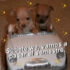 Aesthetic Blue.
Subete we, vamos a
pasar el semestre,